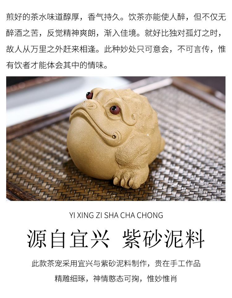 金蟾，求财金蟾2019 11 10