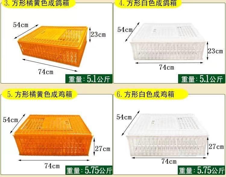 微信图片_20241113160129