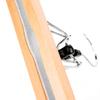 Percha de Madera Maciza percha de madera para ropa clip de madera para peluca clip de madera para pantalones clip de madera para peluca clip de madera JK para falda al por mayor