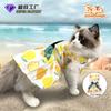 Amazon Vestido de Verano para Mascotas Ropa para Gato Ragdoll Transfronterizo Poliéster Falda Urbana para Perro Vestido para Mascota