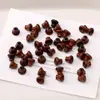 Pagoda de Madera Sombrero de Buda Cabeza de Buda DIY Accesorios Hechos a Mano con Cuentas Joyería de Cuentas de Madera Accesorios de Cuentas de Buda de Tres Vías Florero 0.8