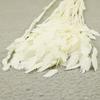 Flor mágica hierba de la pequeña esperanza eterna ramo flor real Natural Alto sentido ins estilo nórdico sala de estar decoración jarrón Flor eterna