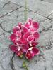 Cubo de bendición de flores de Nochevieja de color rojo rosa, venta al por mayor de fábrica de flores falsas, cubo de bendición de color rojo rosa y morado, flor artificial para boda y hogar
