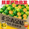 OrigemKumquat Verde de HainanKumquat PequenoLimãoFruta FrescaEspecial para Lojas de Chá com LeiteCaixa Inteira