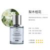 Perfume para coche, aceite esencial de fragancia para coche, fragancia ligera de alta gama para hombres, disponible para madres e hijos, fragancias para coche al por mayor.