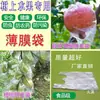 Bolsa de Fruta de Jade Blanco Transpirable a Prueba de Insectos Dulces Bolsa de Película Delgada con Orejas para Drenaje Bolsa Especial para Granada de Semilla Suave Blanca