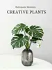 Planta Hidropónica Monstera, Planta Verde Todo el Año, Planta en Maceta de Cultivo en Agua para Interiores, Bambú de Hoja Grande para Sala de Estar, Oficina, Escritorio