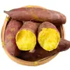 2 Libras de Camotes Pequeños Fragantes, 10 Camotes, Camotes de Castaña, Camotes Amarillos Frescos, 5 Verduras, Camotes de Miel, Camotes de Tierra Arenosa