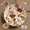 50 Pegatinas Transparentes de Plantas Secas, Materiales Florales Vintage de Bosque Otoñal para Diario, Pegatinas Decorativas Impermeables de Mascota