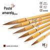 Pincel de lobo grande, médio e pequeno conjunto de 6 caixas de presente e caligrafia treinamento de adultos prática de aula estudo regular de script Quatro Tesouros