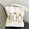 Bolsa de lona com estampa de gato fofo Kawaii Bolsa de ombro Harajuku Bolsa tote de compras Amazon desejo