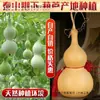 Regalo de Apertura Atrae Fortuna Calabaza Natural Mediana-Grande Adorno para Casa Nueva Sala de Estar Decoración del Hogar Adorno Colgante con Base Venta al por Mayor