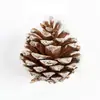 Flores de Piña Secas Piñas Blancas Teñidas Adornos de Piña Blanca Cubiertos en Nieve Piñas Naturales Colgantes de Decoración Navideña Accesorios para Fotografía Mayoreo