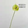 Con flor artificial Yang PU palma roja tacto de mano 3D palma blanca pequeña grulla llama Guanyin flor de loto material de arreglo floral al por mayor