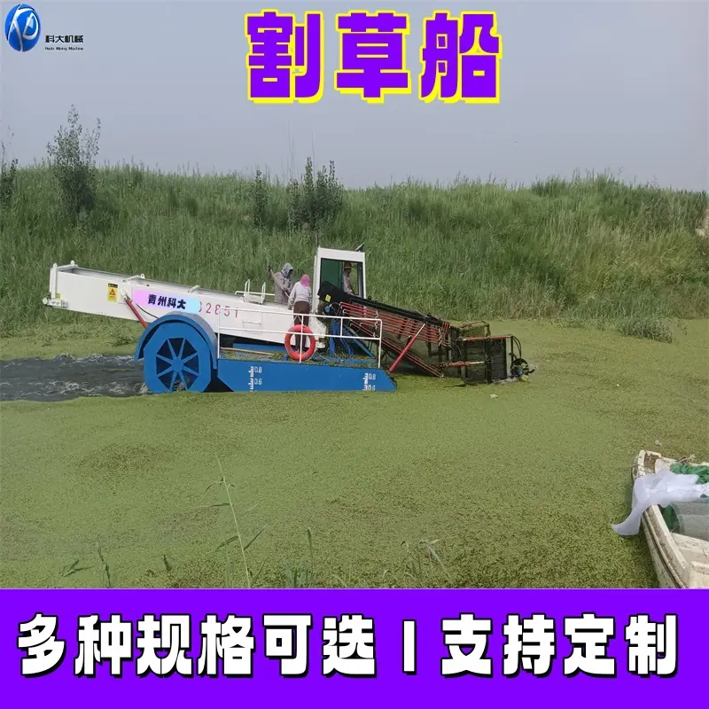 IMG_2割草0230728_094544_副本.jpg