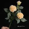 Arranjo de Flores Secas Estilo Pintura a Óleo Vintage com Borda Queimada de Rosa e Lótus para Sala de Estar, Mesa de Jantar, Gabinete de TV, Decoração de Flores, Peônia