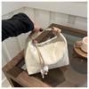 Bolso de Mano de Estilista para Mujer 2024 Primavera y Verano Nuevo Bolso Cruzado de Hombro de Alta Textura Fresco Bolso Casual para Mujer