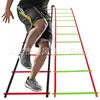 Producción y venta al por mayor 3 metros 6 secciones escalera ágil entrenamiento de fútbol escalera de velocidad práctica de pasos escalera sensible rejilla de entrenamiento de salto escalera blanda