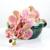 Venta al por mayor del fabricante Flor de Phalaenopsis Artificial Impresa en 3D con Tacto de PU Flor de Seda Decoración de Boda para el Hogar Accesorios de Fotografía Planta en Maceta