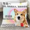 Regalo para el Día del Padre, Cojín Divertido con Expresiones de Perro, Regalo de Cumpleaños para Papá, Sofá, Coche, Cojín Lumbar de Mesita de Noche