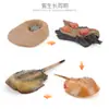 Juguete modelo de animal pequeño simulación ciclo de vida crecimiento rana tortuga pollo Montessori material didáctico preescolar venta al por mayor