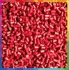 Suministro directo de fábrica masterbatch color vino masterbatch PPT filamento para cepillos de dientes hilado por inyección masterbatch rojo universal de alta concentración