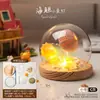 Luz de Noche de Gelatina de Concha de Erizo de Mar Natural Kit de Materiales Hechos a Mano para Bricolaje Adorno Decorativo Regalo para Niños y Novias