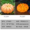 Lámpara de Luna Simulada Portátil Lámpara Durian Linterna de Calabaza Linterna de Ganso Blanco Lámpara Animal Búho Lámpara Decorativa Solar para Exterior