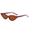 Gafas de sol con montura pequeña Cat's Eye para mujer, estilo transfronterizo europeo y americano, gafas de moda para usar en la calle, gafas de sol de alto rendimiento para hombres.