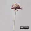Flores Artificiales Estilo Europeo Flox Terciopelado Ramo de Flores Falsas Flores Secas Decoración Vintage para el Hogar Adornos para Salas de Muestra Venta al por Mayor Transfronteriza