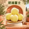 Shandong Cream Fuji Atacado e Dropshipping 3/5 lbs 75mm Fruta Grande Doce e Crocante Maçãs Amarelas Sazonais Fruta Fresca