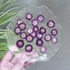 Mini rosa, flor seca natural en relieve, espécimen de planta, flor real, flor con gotas de pegamento, deflectores, material hecho a mano para niños