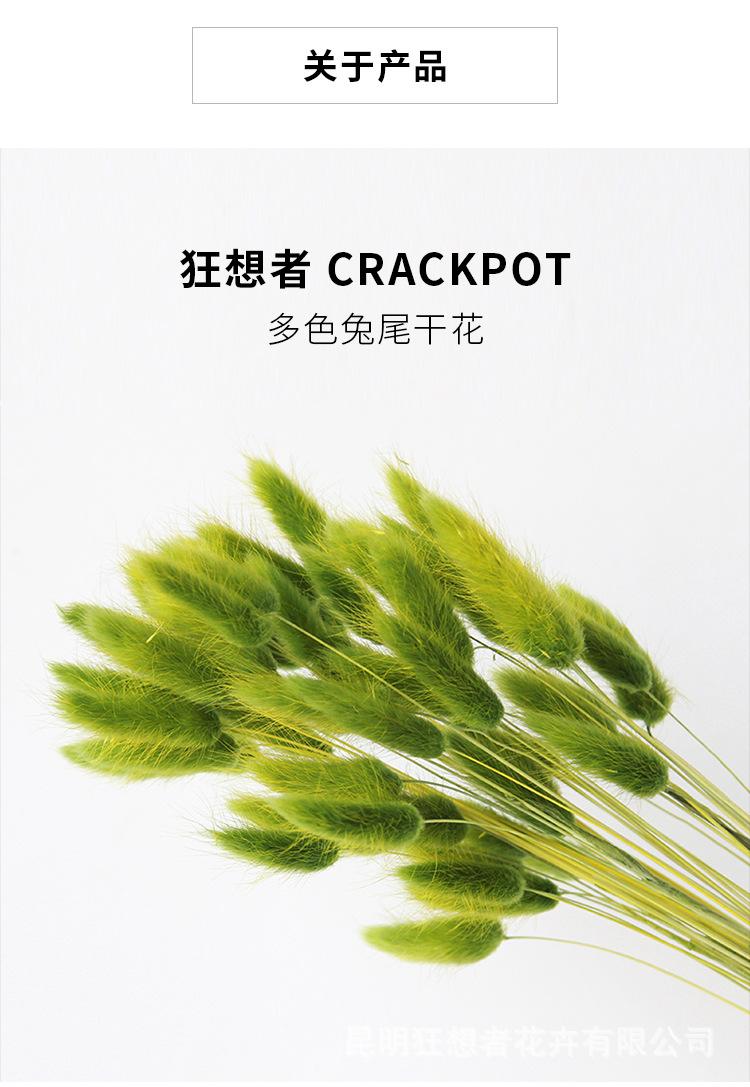 中文1688_04