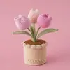 2026 Venta Caliente Planta en Maceta de Tulipan de Hilo Tejida a Mano de 3 Cabezas Día de la Madre Día del Maestro Regalo Eterno