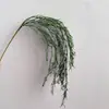 Capim de Junco Artificial, Capim Bigode de Dragão, Planta Verde da Moda para Paisagismo, Material de Flor Pendente para Teto, Decoração Suave Estilo Floresta para Casamentos Venda por Atacado
