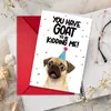 Shein Compra Directa Transfronteriza Divertida y Peculiar Humorística Linda Cumpleaños Agradecimiento Navidad Festividad Fútbol Sobre Tarjeta de Felicitación