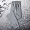 Liquidación Atrapado Comercio Exterior Contrapunto Pantalones Deportivos para Hombre Sueltos Talla Grande Workwear Moderno Verano Delgados Casuales Pantalones Largos