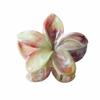 Pinza de Flor de Huevo Manchada de Mármol de 8 cm Pinza para Cola de Caballo de Flor Pinza de Tiburón Dulce para el Cabello Adorno para la Cabeza de Moda
