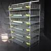 Jaula de Cría de Codornices Tipo H Vertical de 6 Niveles Puede Limpiar Automáticamente Excrementos, Alimentar, Beber y Criar Polluelos de Carne en Jaulas Multinivel
