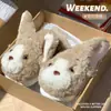 Novas Pantufas de Inverno Femininas da Moda Fofas de Algodão para Casa Gato Alemão Quentes Confortáveis com Forro de Pelúcia