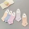 Nuevos Calcetines para Hombre de Primavera y Otoño de Caña Baja y Boca Baja Casuales de Algodón de Colores Calcetines Cortos Tipo Barco Modernos Modernos Calcetines de Algodón Transpirables para Mujer
