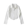 Camisa de manga larga con cremallera y solapa para mujer, estilo europeo y americano, moda 2023, blusa corta curva