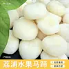 Castañas de Agua Redondas Congeladas, Castañas de Agua Enteras Peladas y Congeladas de Liplu, Guangxi, Carne Fresca de Castaña de Agua, para Postres y Té con Leche