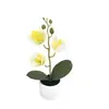 Flor Simulada Cymbidium Planta en Maceta Decoración Escandinava Oficina Sala de Estar Escritorio Interior Bonsái Planta Verde Adornos Flor Simulada