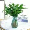 Plantas Hidropónicas de Ciprés de Bambú Repelente de Mosquitos Plantas Verdes de Cultivo en Agua para Interiores Plantas con Flores en Maceta Oficina Toda la Temporada Sala de Estar Ciprés de Bambú Ciprés de Bambú Plántulas de Ciprés de Bambú
