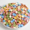 Pegamento de Crema DIY Juguete Realista de Comida Resina Expresión Mixta Galleta Imán de Nevera Casero Material de Zapato de Madera Accesorios Pequeños