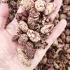 Raíz de casia, medicina herbal china, semillas de raíz de casia, especias de raíz de casia, productos secos de raíz de casia, polvo de raíz de casia, arroz de raíz de casia