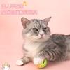 Pelota de Campana Empalmada Colorida Juguete Grande para Gato Campana para Autoplacer de Gato Juguete para Mascota Juguete Colorido para Gato Mascota