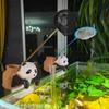 Paisagem para Aquário Mochila Gato Enfeites para Pendurar na Lateral do Tanque Decoração Criativa Fofa para Aquário de Mesa Conjunto