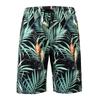 Verano 2026 Comercio Exterior Transfronterizo Pantalones Cortos de Playa para Hombre Estampados Pantalones Cortos Deportivos de Playa Tallas Grandes Europeas y Americanas Artículos de Venta Caliente